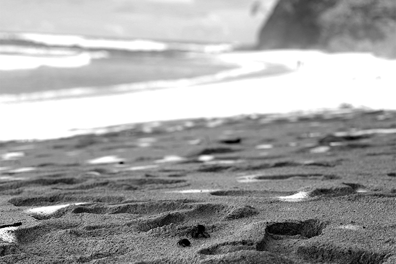 beach