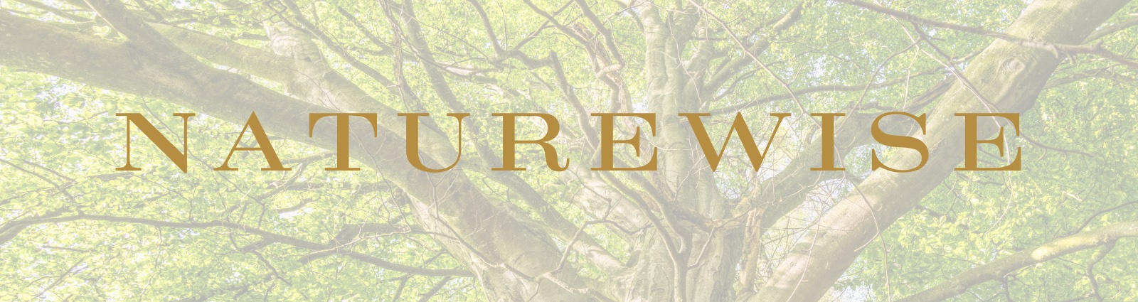 Naturewise Regenerative Business Leadership with Kimberly Pinkson